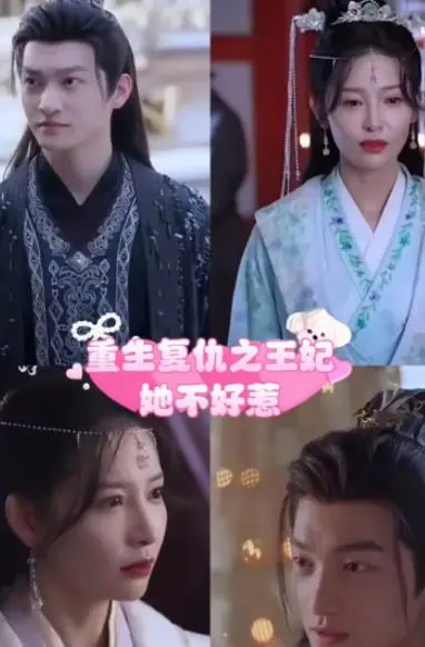 《重生复仇之王妃她不好惹》：这剧情，我能追到天荒地老！