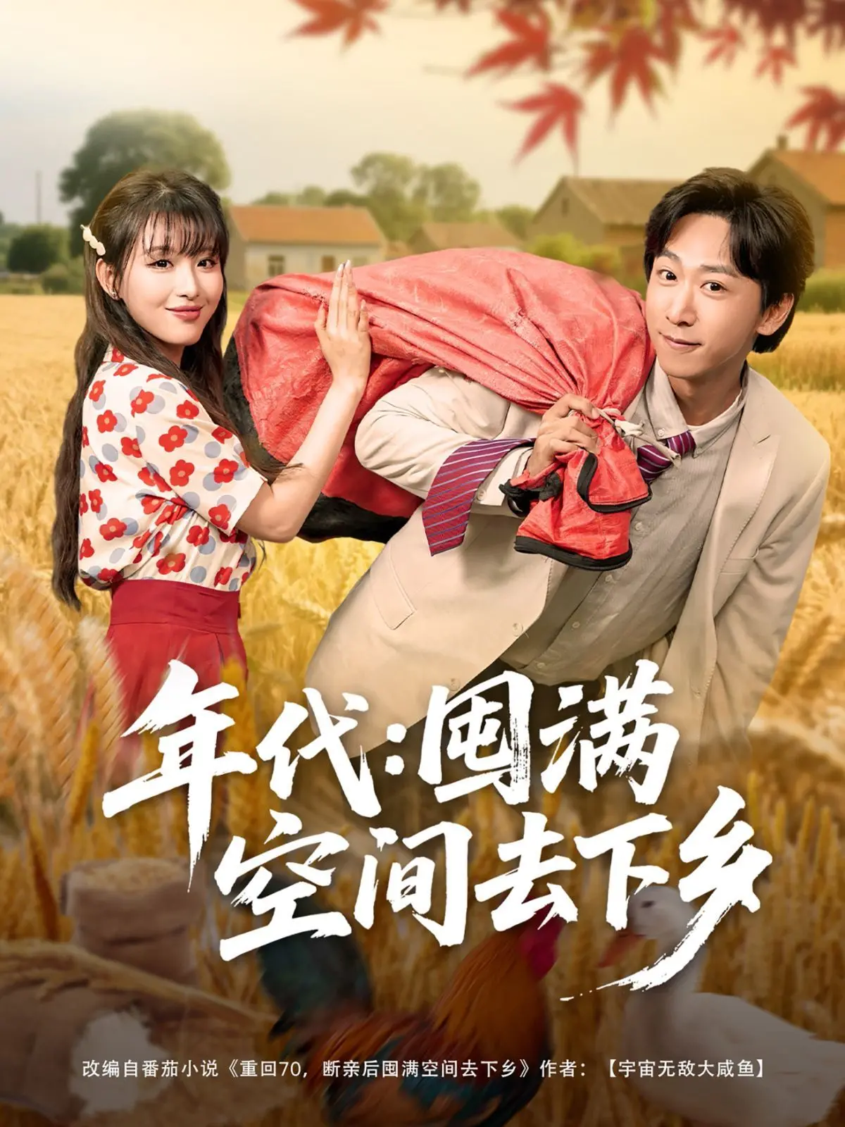 《年代囤满空间去下乡》：空间文+下乡年代？这组合，妥妥的爽剧预定！