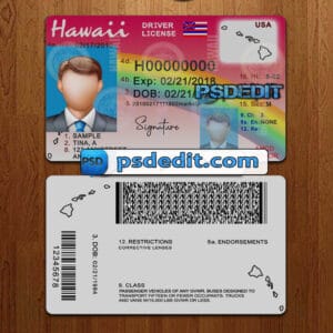 Editable Hawaii drivers license template psd download