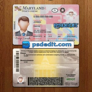 Editable Maryland drivers license template psd download